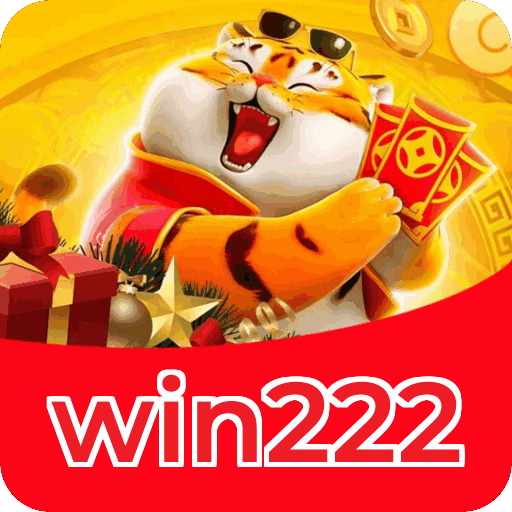 Métodos de pagamento aceitos na win222